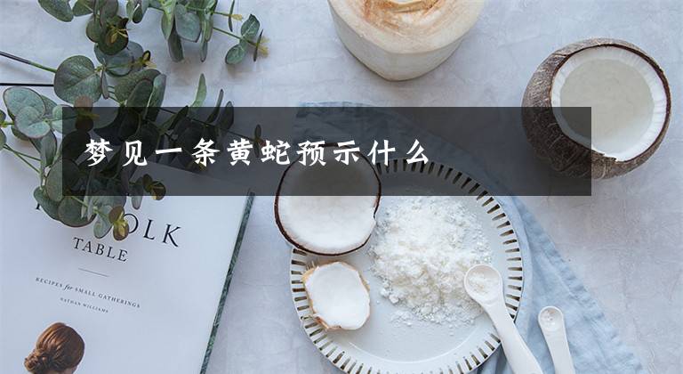 梦见一条黄蛇预示什么