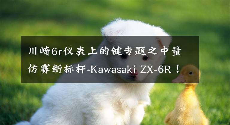 川崎6r仪表上的键专题之中量仿赛新标杆-Kawasaki ZX-6R！大号的Ninja400？