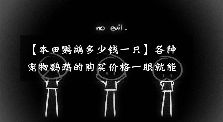 【本田鹦鹉多少钱一只】各种宠物鹦鹉的购买价格一眼就能看出，并不是因为贵而懒，所以不买