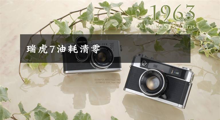 瑞虎7油耗清零