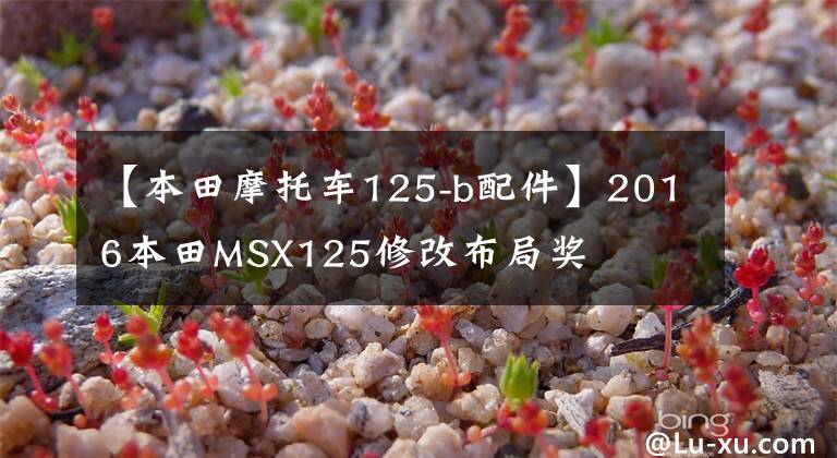 【本田摩托车125-b配件】2016本田MSX125修改布局奖