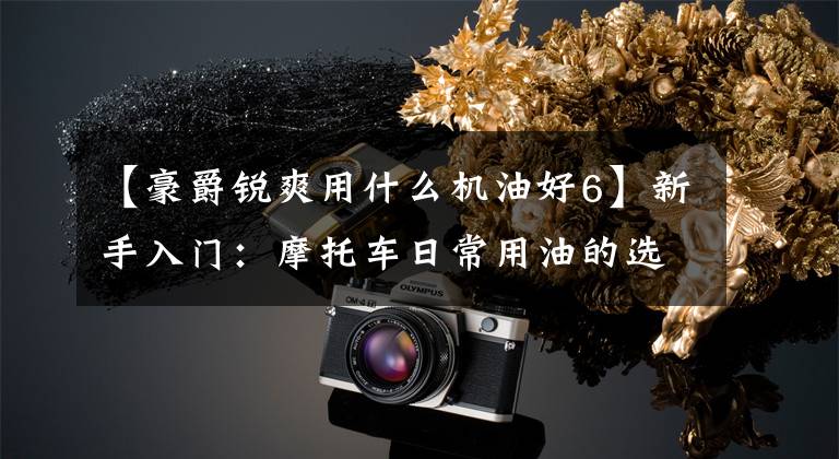 【豪爵锐爽用什么机油好6】新手入门：摩托车日常用油的选择文章配图