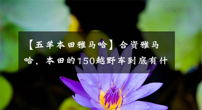 【五羊本田雅马哈】合资雅马哈，本田的150越野车到底有什么不同？我该如何选择文章配图