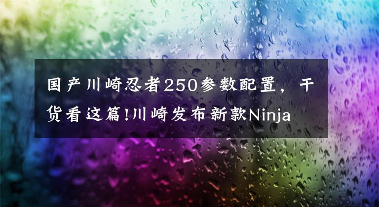 国产川崎忍者250参数配置，干货看这篇!川崎发布新款Ninja 250，只不过这次是单缸的SL