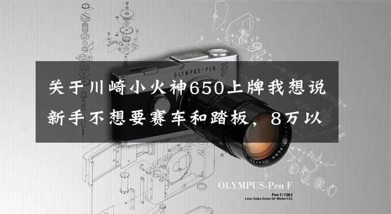 关于川崎小火神650上牌我想说新手不想要赛车和踏板，8万以下进口的，后座平整的摩托有哪些？