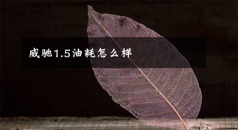 威驰1.5油耗怎么样文章配图