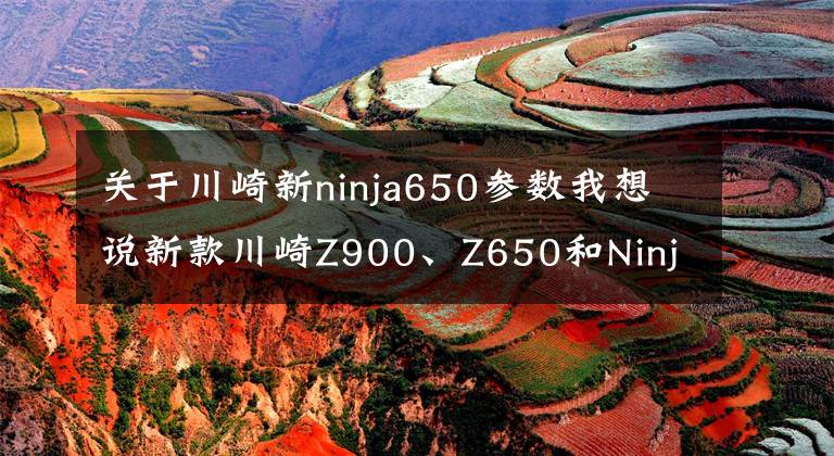 关于川崎新ninja650参数我想说新款川崎Z900、Z650和Ninja 650国内正式发布