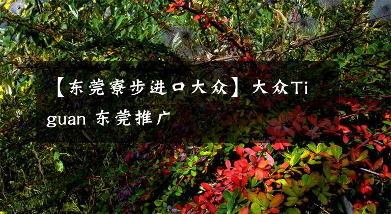 【东莞寮步进口大众】大众Tiguan 东莞推广文章配图
