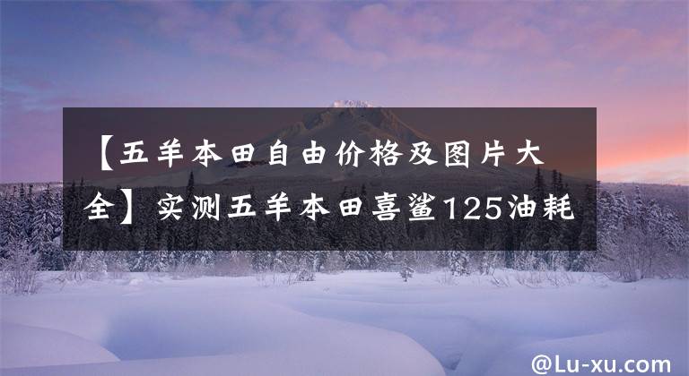 【五羊本田自由价格及图片大全】实测五羊本田喜鲨125油耗比雅马哈教格I低吗？