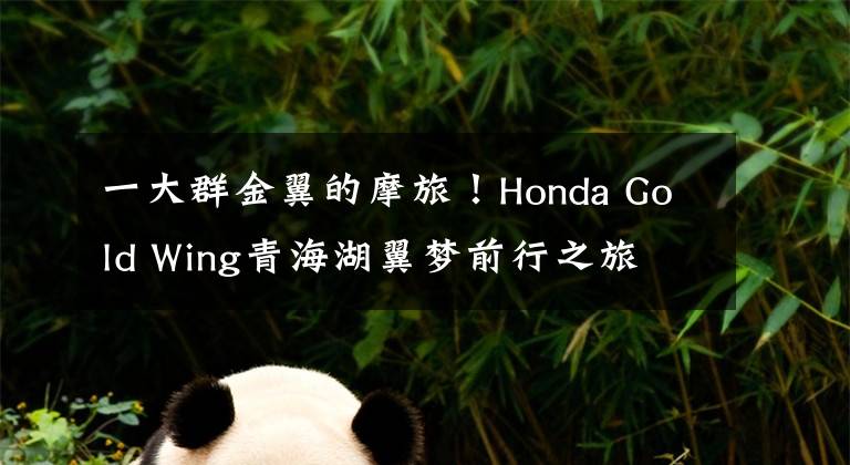 一大群金翼的摩旅！Honda Gold Wing青海湖翼梦前行之旅