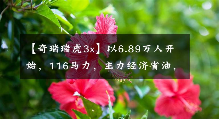 【奇瑞瑞虎3x】以6.89万人开始，116马力，主力经济省油，锡塔莱号3x文章配图