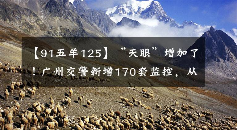 【91五羊125】“天眼”增加了！广州交警新增170套监控，从10日开始使用文章配图