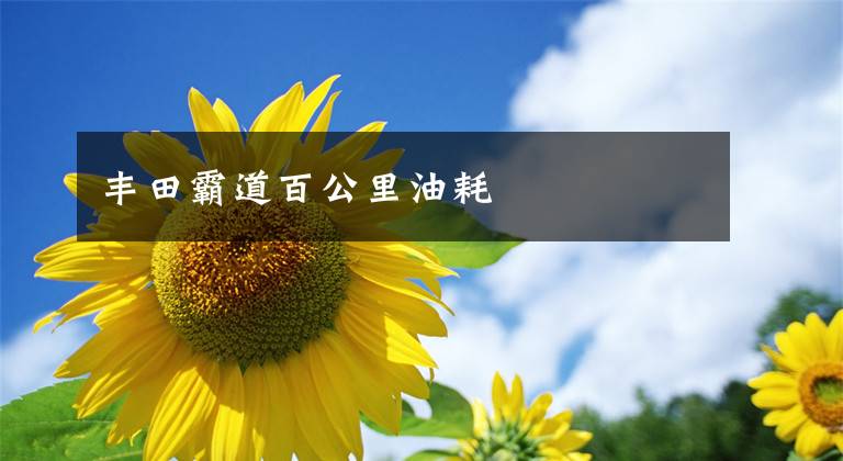 丰田霸道百公里油耗文章配图