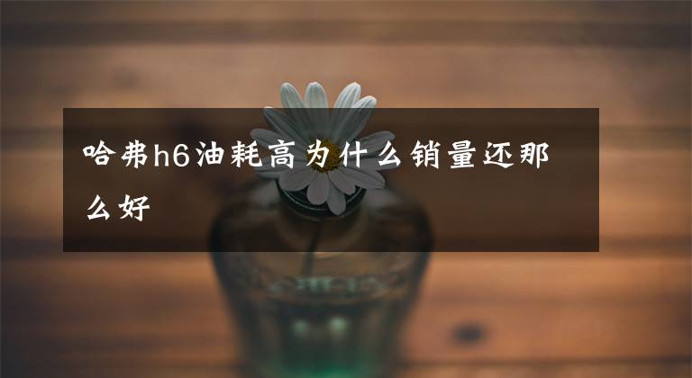 哈弗h6油耗高为什么销量还那么好文章配图