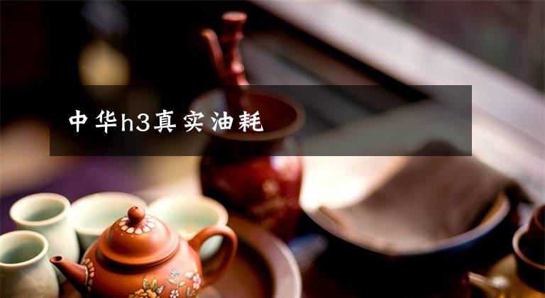 中华h3真实油耗文章配图