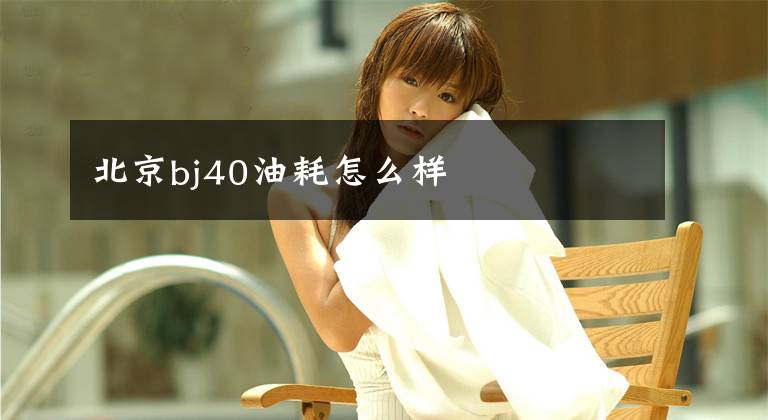 北京bj40油耗怎么样文章配图