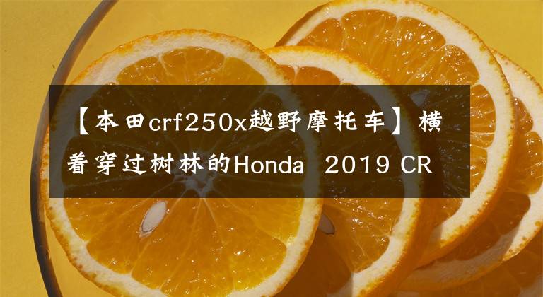 【本田crf250x越野摩托车】横着穿过树林的Honda 2019 CRF250RX