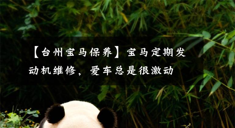 【台州宝马保养】宝马定期发动机维修，爱车总是很激动文章配图