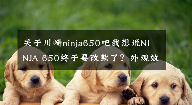 关于川崎ninja650吧我想说NINJA 650终于要改款了？外观效果图曝光，有望很快更新迭代