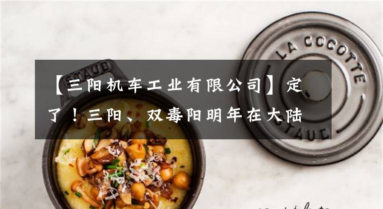 【三阳机车工业有限公司】定了！三阳、双毒阳明年在大陆上市！价格会成为“狙击”竞品吗？文章配图