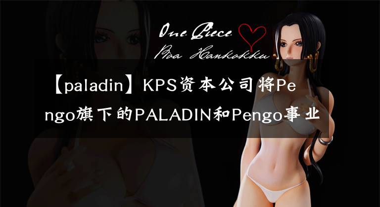 【paladin】KPS资本公司将Pengo旗下的PALADIN和Pengo事业部出售给斯坦利百德。