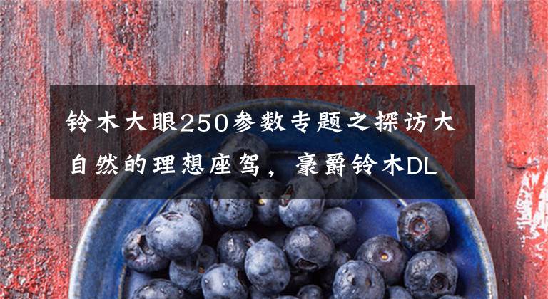 铃木大眼250参数专题之探访大自然的理想座驾，豪爵铃木DL250正式发布！