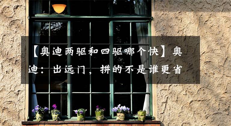 【奥迪两驱和四驱哪个快】奥迪：出远门，拼的不是谁更省油，而是谁雪天不打滑