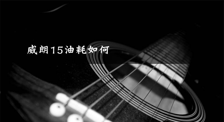 威朗15油耗如何文章配图