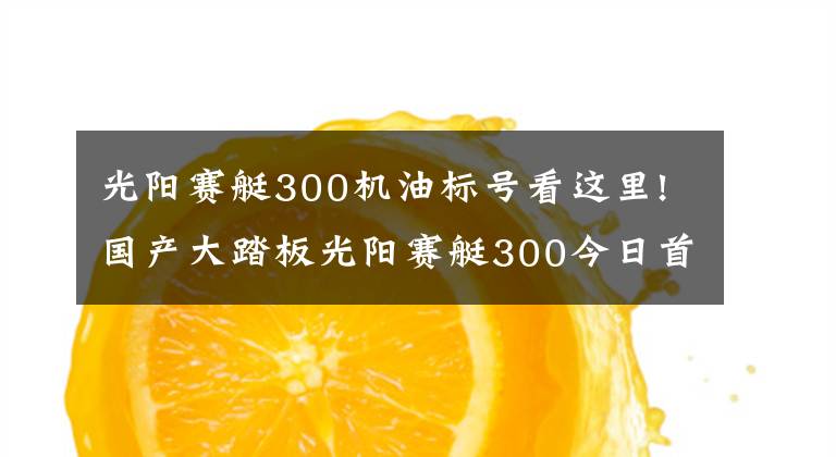 光阳赛艇300机油标号看这里!国产大踏板光阳赛艇300今日首发，高清细节图抢先看