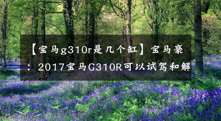 【宝马g310r是几个缸】宝马豪：2017宝马G310R可以试驾和解说吗？