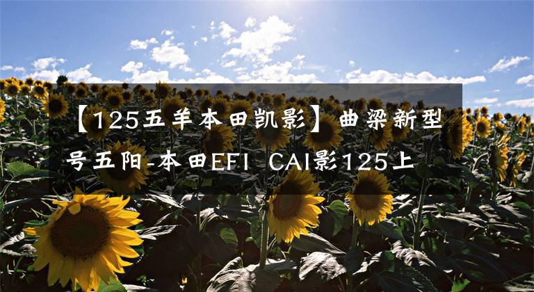 【125五羊本田凯影】曲梁新型号五阳-本田EFI  CAI影125上市
