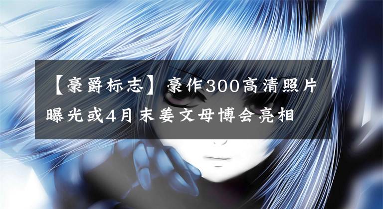 【豪爵标志】豪作300高清照片曝光或4月末姜文母博会亮相文章配图