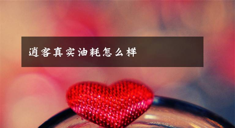 逍客真实油耗怎么样文章配图