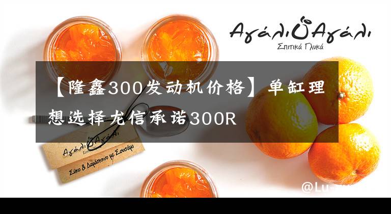 【隆鑫300发动机价格】单缸理想选择龙信承诺300R文章配图