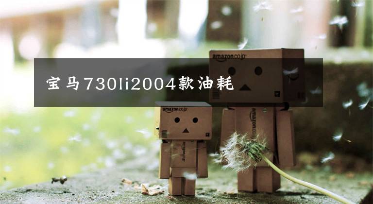 宝马730li2004款油耗文章配图