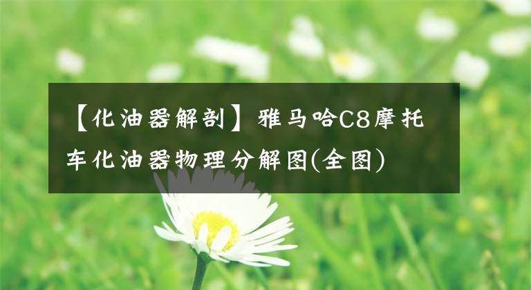 【化油器解剖】雅马哈C8摩托车化油器物理分解图(全图)文章配图