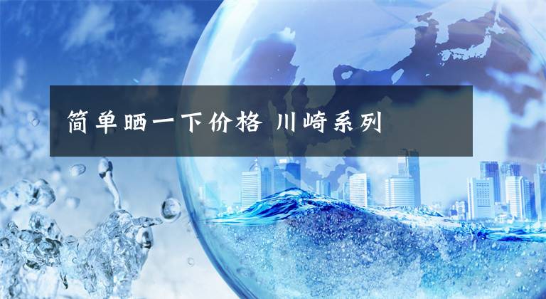 简单晒一下价格 川崎系列文章配图