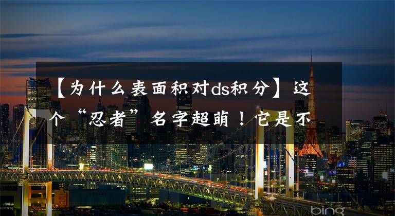 【为什么表面积对ds积分】这个“忍者”名字超萌！它是不惧辐射、能忍温差400℃的苔藓小猪