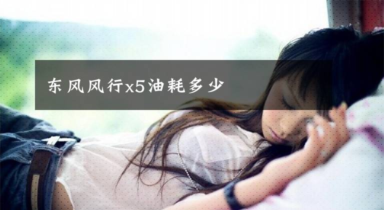 东风风行x5油耗多少文章配图