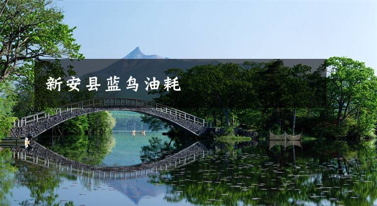 新安县蓝鸟油耗文章配图