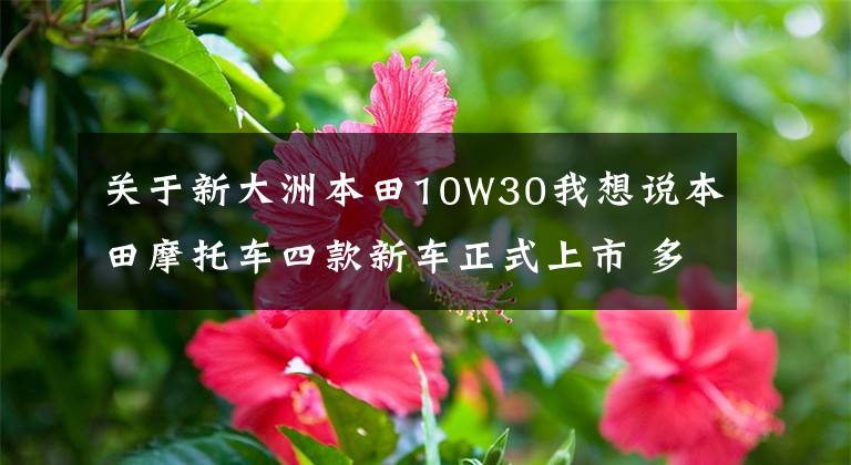 关于新大洲本田10W30我想说本田摩托车四款新车正式上市 多元Style引领全新生活方式文章配图