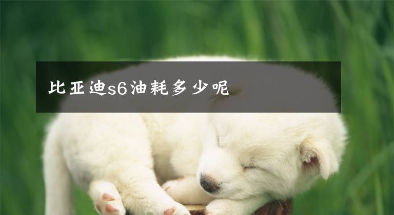 比亚迪s6油耗多少呢文章配图