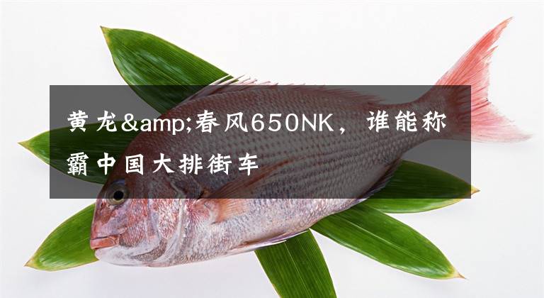 黄龙&春风650NK，谁能称霸中国大排街车文章配图