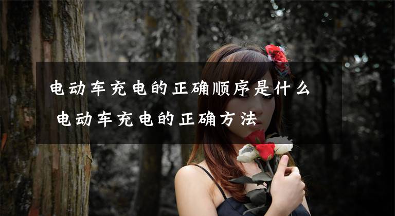 电动车充电的正确顺序是什么 电动车充电的正确方法文章配图