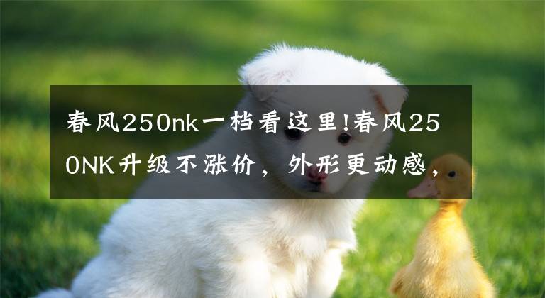 春风250nk一档看这里!春风250NK升级不涨价，外形更动感，动力更强劲文章配图