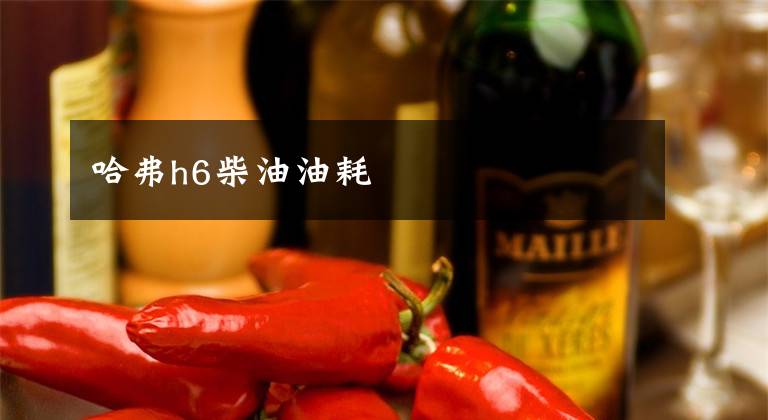 哈弗h6柴油油耗文章配图