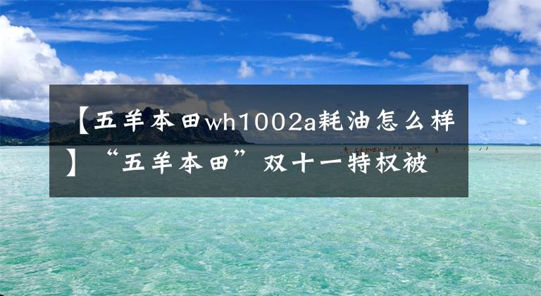 【五羊本田wh1002a耗油怎么样】“五羊本田”双十一特权被提前剥夺了