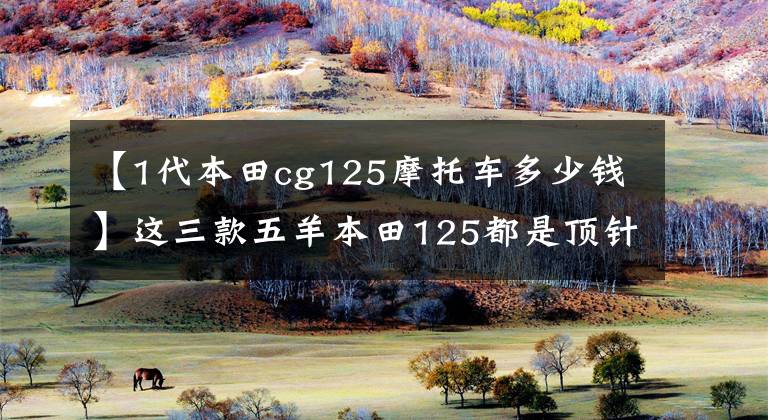 【1代本田cg125摩托车多少钱】这三款五羊本田125都是顶针发动机，8000元人民币就可以处理。