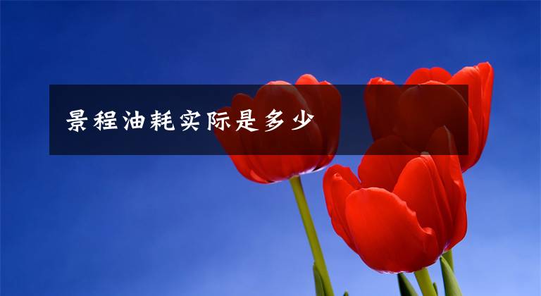 景程油耗实际是多少文章配图