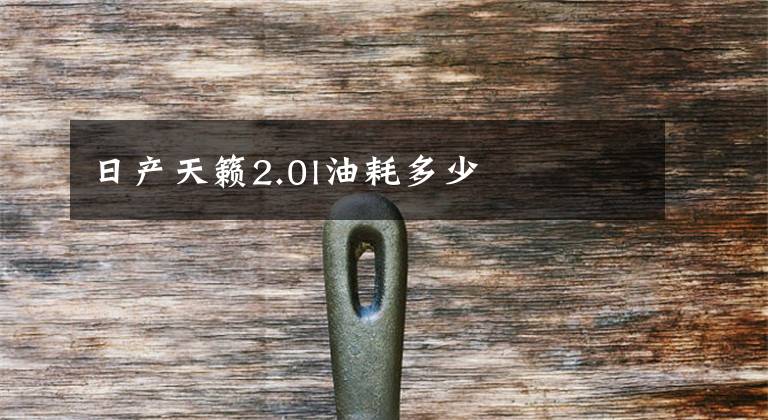 日产天籁2.0l油耗多少文章配图